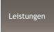 Leistungen